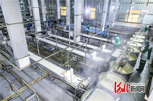 廊坊廣陽 機械化賦能農產品深加工，量子計算技術助力京津菜籃子保供